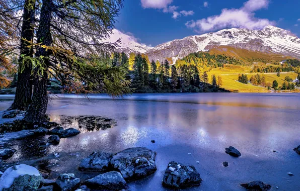 Осень, деревья, горы, озеро, Швейцария, Альпы, Switzerland, Alps