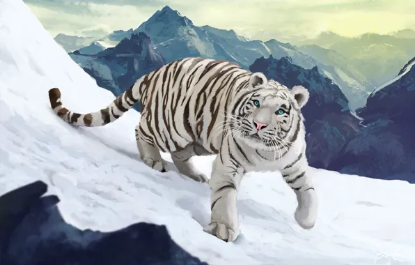 Рисунок, Тигр, Снег, Животные