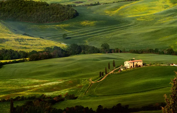 Картинка зелень, деревья, поля, Тоскана