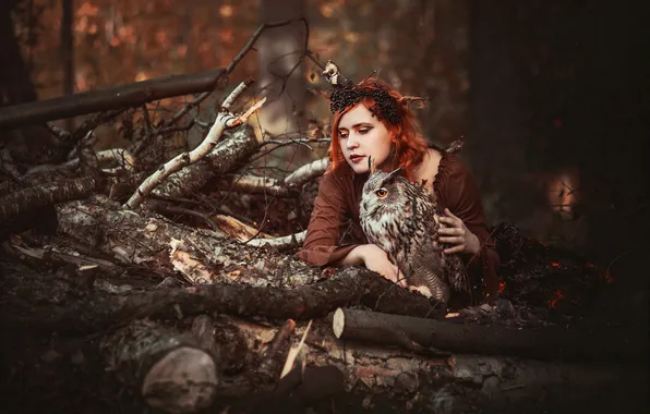 Девушка, ветки, стиль, сова, птица, брёвна, косплей, Eva Wald