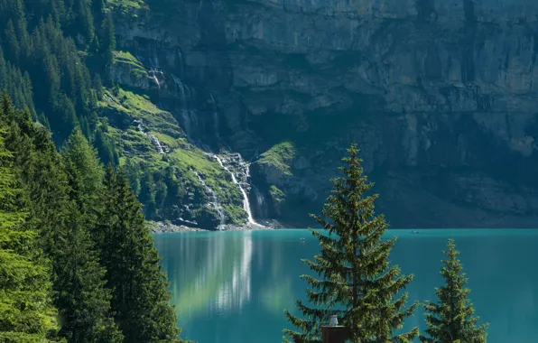Картинка деревья, озеро, Швейцария, ели, Switzerland, Bernese Alps, Бернские Альпы, озеро Эшинензе