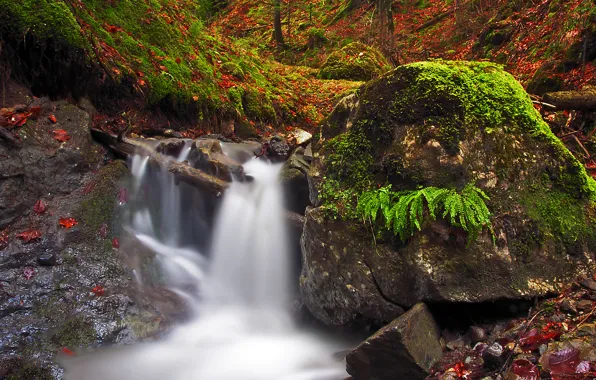 Картинка листья, скалы, водопад, Осень, nature, autumn, leaves, fall