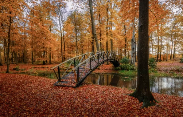 Осень, листья, вода, деревья, парк, мостик, Nederlands, Voorstonden