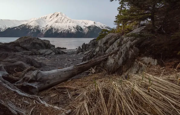 Alaska, United States, Anchorage