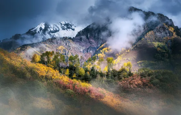 Картинка Природа, Красота, Nature, Clouds, Landscape, Colorado, Fall Colors, Autumn Forest