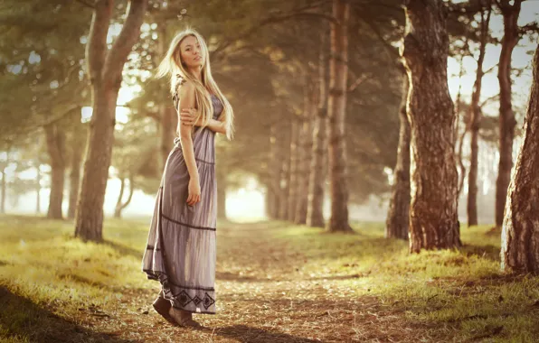 Взгляд, девушка, деревья, тропинка