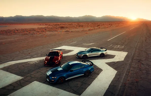 Лучи, синий, Mustang, Ford, Shelby, GT500, тройка, кровавый
