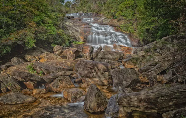 Картинка лес, камни, США, речка, Северная Каролина