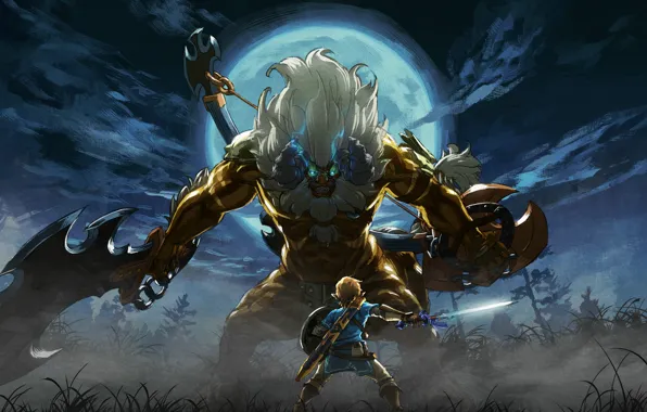 Картинка Nintendo, Game, Link, The Legend Of Zelda: Breath Of The Wild, TheVideoGamegallery.com