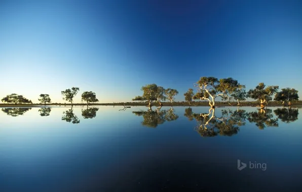 Небо, вода, деревья, отражение, разлив, австралия