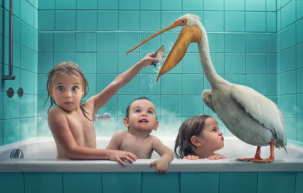 Картинка дети, птица, рыба, ванна