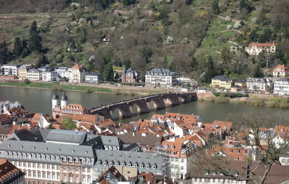 Картинка мост, река, Дома, Германия, Панорама, Крыши, Здания, Bridge