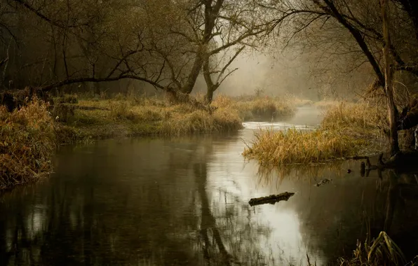 Картинка осень, река, ноябрь