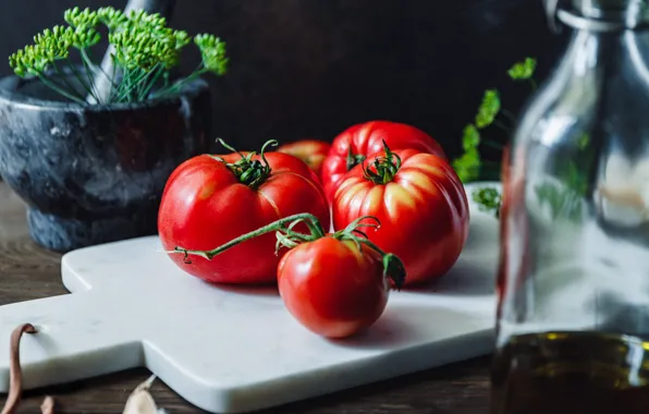 Темный фон, стол, бутылка, масло, еда, укроп, красные, овощи