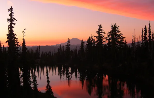 Картинка лес, закат, горы, вечер