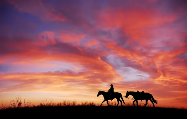 Картинка поле, небо, трава, облака, закат, шляпа, лошади, зарево