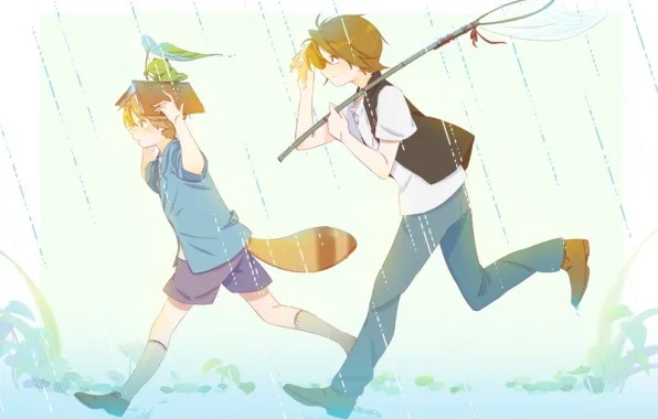 Дождь, лягушка, хвост, книга, мальчики, The Eccentric Family, Uchouten Kazoku