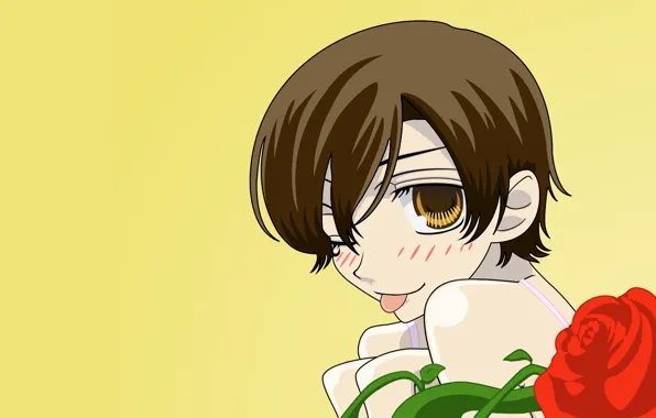 Цветок, роза, мальчик, Хост-клуб Оранской школы, Ouran Koukou Host Club