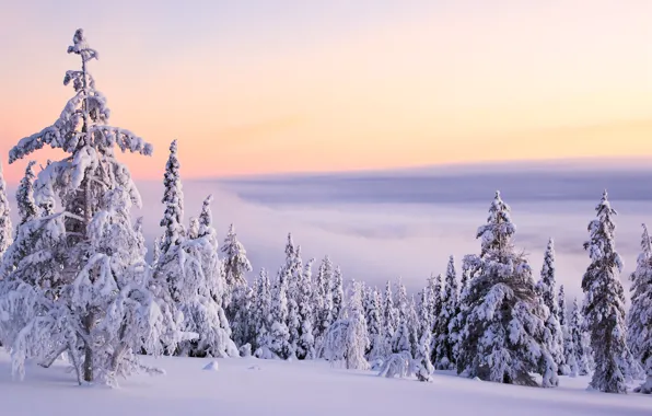 Картинка зима, облака, снег, горы, природа, тишина, елки, мороз