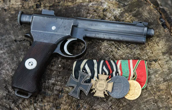 Автоматический пистолет, 1917, Roth Steyr