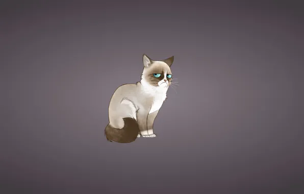 Картинка кошка, кот, минимализм, Соус Тардар, Grumpy Cat, Tardar Sauce, Сердитый Котик