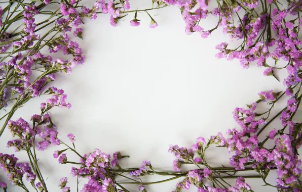 Цветы, фон, рамка, flowers, purple, violet, frame