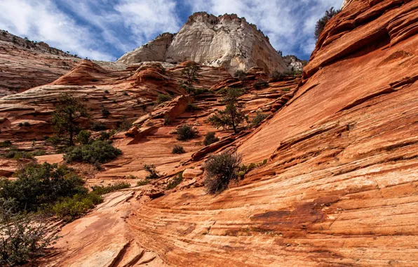 Облака, горы, природа, скалы, Юта, США, Zion National Park, Национальный парк