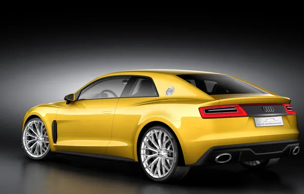 Audi, спорт, купе, concept