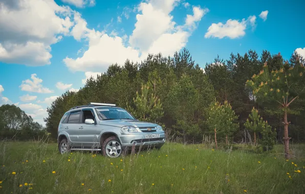 Раскраска Нива Chevrolet - распечатать бесплатно