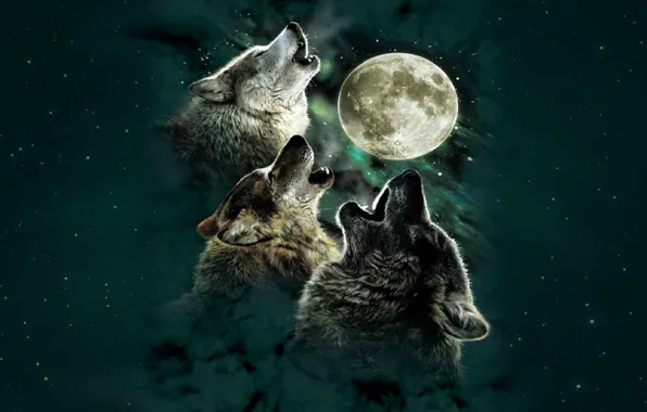 Картинка Moon, animal, wolf, digital art, animal themes, group of animals