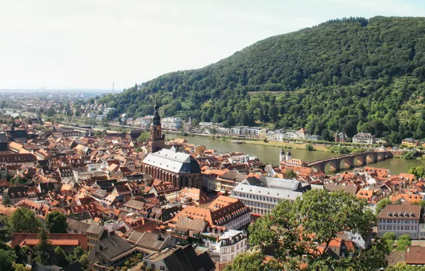 Город, фото, дома, Германия, сверху, Heidelberg