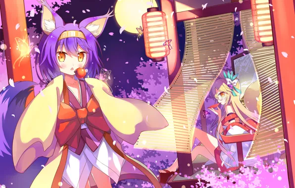 Аниме, неко., izuna hatsuse, No game No life, Kitsune