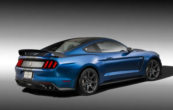 Mustang, Ford, Shelby, Muscle, Car, Blue, Rear, 2015