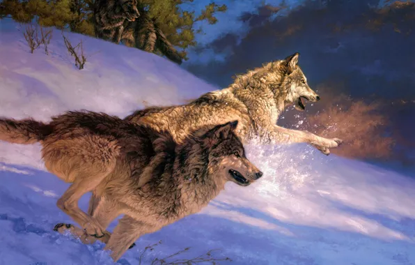 Картинка зима, снег, арт, волки, Greg Beecham