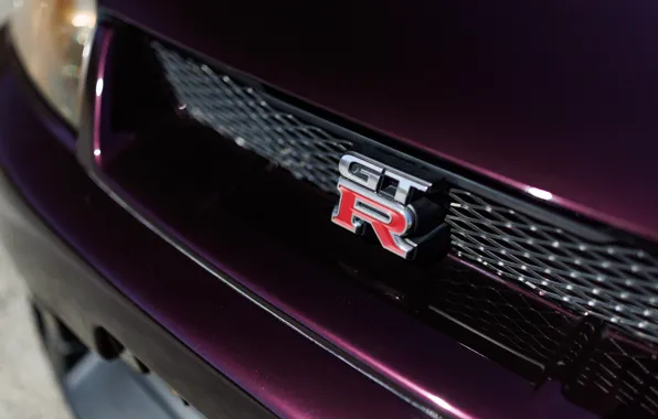 Картинка logo, Nissan, GT-R, Skyline, R33, Nissan Skyline GT-R, badge