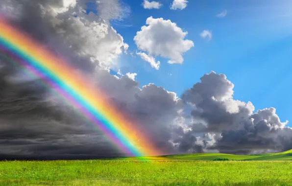 Поле, лето, небо, трава, солнце, радуга, rainbow, summer