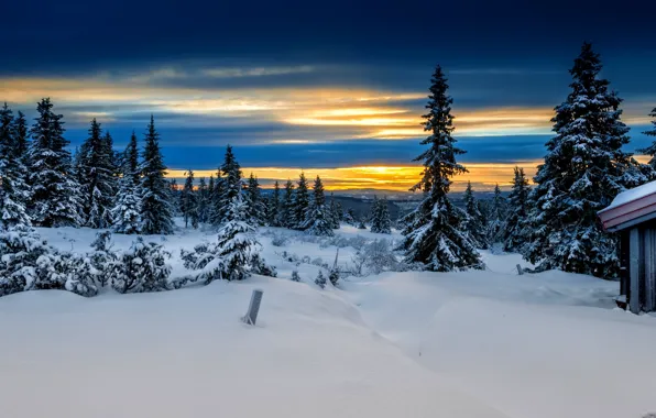 Зима, лес, Норвегия, Лиллехаммер, Lillehammer