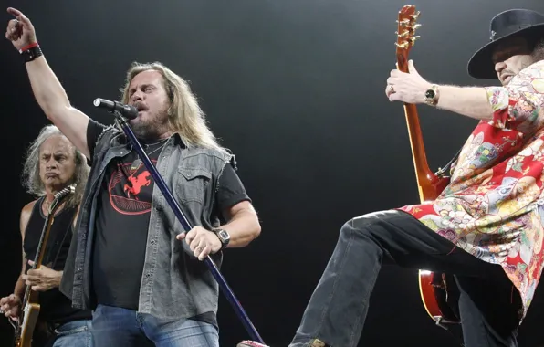 Rock, выступление, Lynyrd Skynyrd, старички, south rock