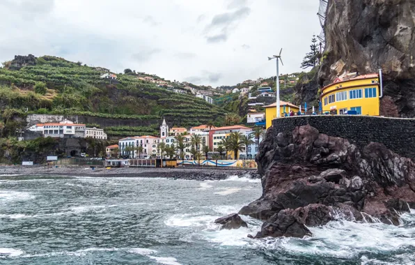 Картинка море, пляж, пальмы, скалы, побережье, дома, Португалия, Ponta Do Sol