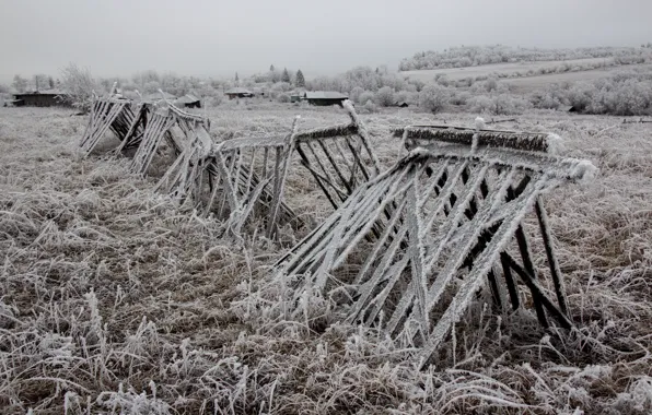 Поле, защита, поздняя осень, заснеженная трава