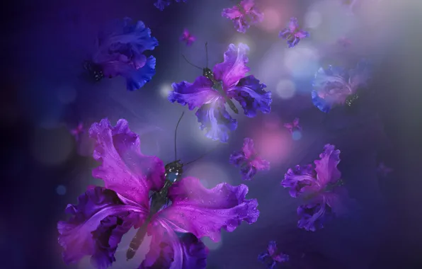 Картинка бабочки, лепестки, water, purple, butterflies, floral