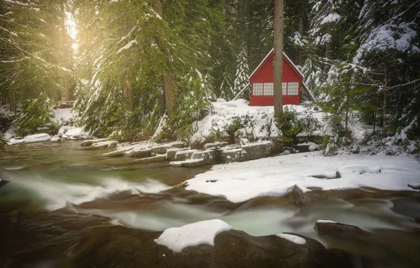 Картинка зима, лес, снег, дом, река, Washington State, Штат Вашингтон, Snoqualmie River