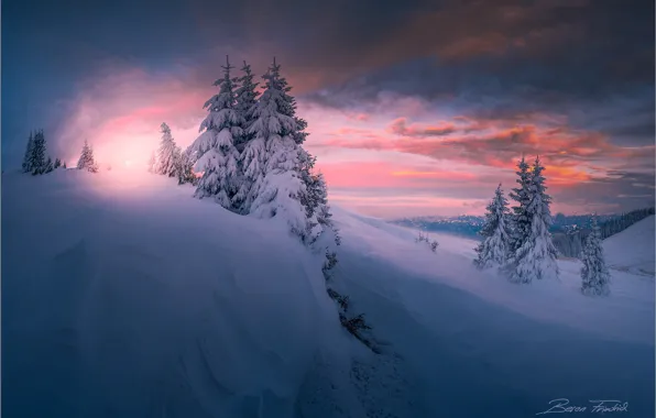 Картинка зима, небо, снег, закат, елка, Фотограф Friedrich Beren, Stubalpe am Gaberl