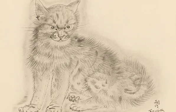 Картинка кот, серый, хмурый, 1930, Цугухару, Фудзита, Книга Кошек