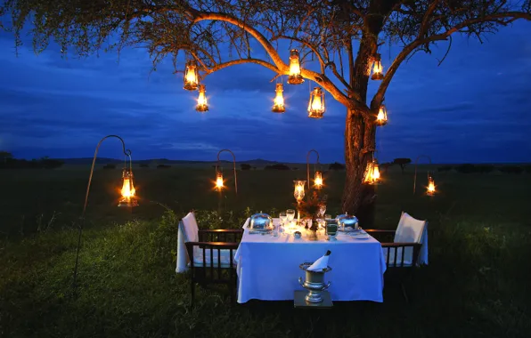 Лампы, романтика, вечер, саванна, Африка, шампанское, romantic, ужин