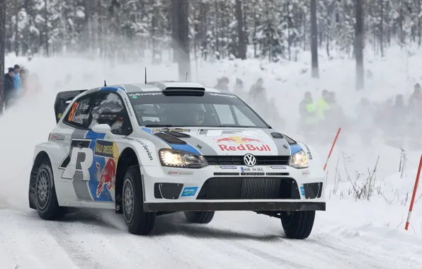 Зима, Снег, Лес, Volkswagen, WRC, Rally, Ралли, Polo
