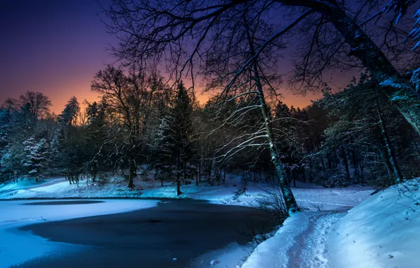 Картинка зима, снег, деревья, ночь, пруд, парк, тропинка