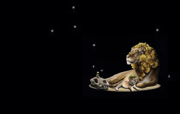 Картинка природа, череп, лев, малыш, арт, львёнок, Jacub Gagnon, одцванчик