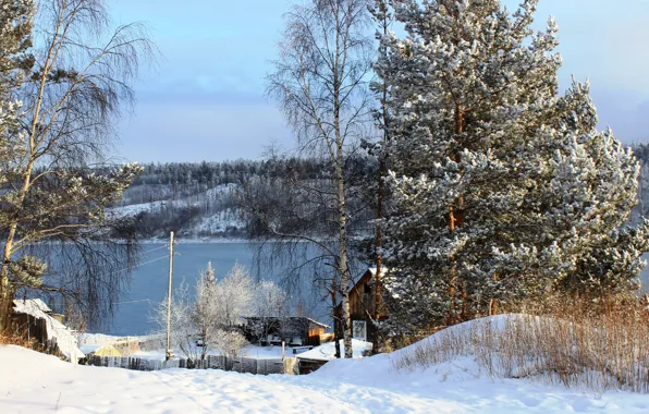 Зима, снег, деревья, природа, река, фото, Россия