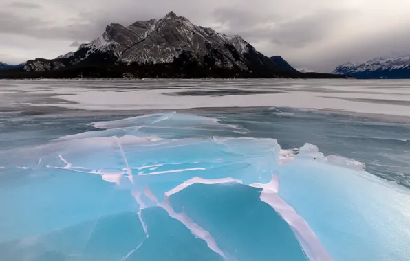 Зима, лёд, Abraham Lake
